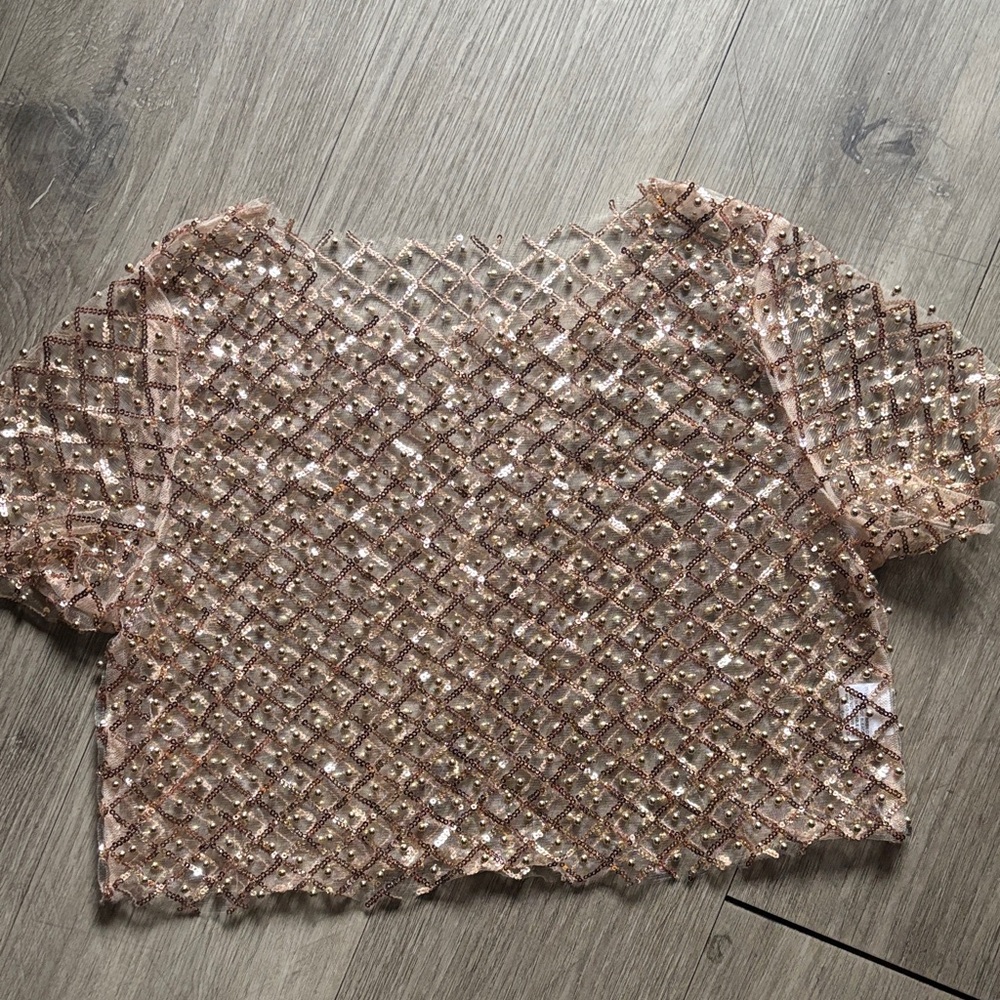 SHEIN Pink Sequin Mesh Blouse